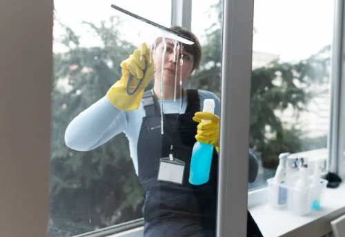 Nettoyage de vitres intérieures et extérieures à Vaumoise
